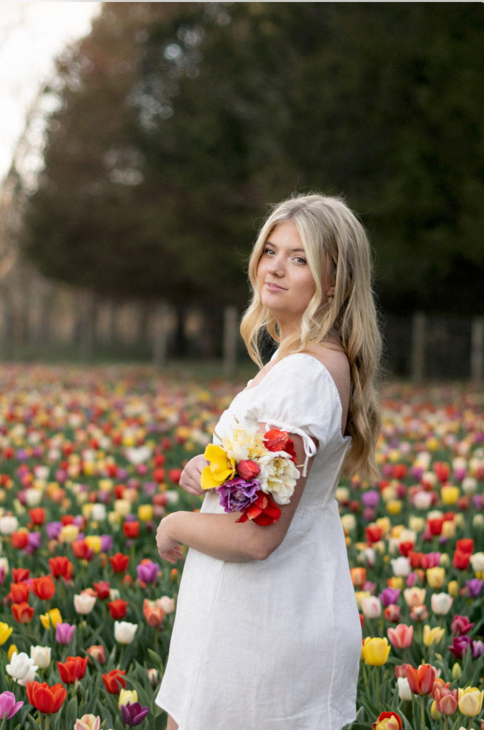Woman in white dress holds colorful spring bouquet while standing in vibrant tulip field on sunny day.
