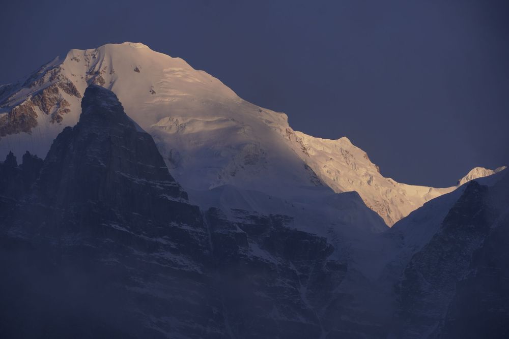 Close-up of a massive, snow-covered Himalayan peak during the golden hour, showcasing the raw, divine beauty of the Goechala trek.