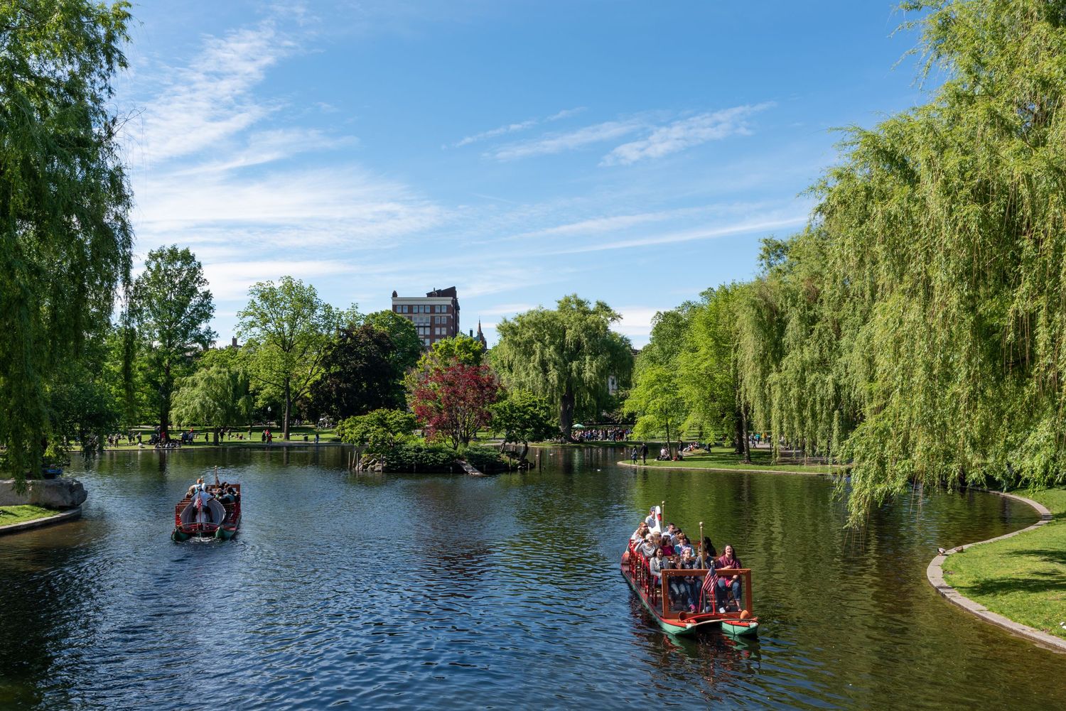 The Swan Boats are an iconic part of the Boston Public Garden. Photographed in the springtime by Leah Ramuglia Photography.