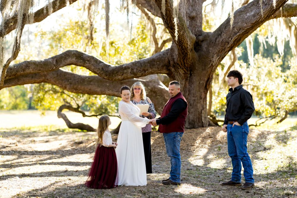 A group gathers under a majestic oak tree draped with Spanish moss in a sunlit outdoor setting.