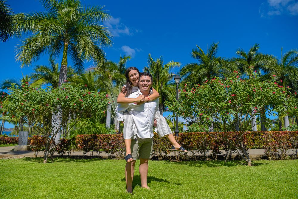 Lush tropical garden landscape with palm trees and vibrant greenery against bright blue sky.