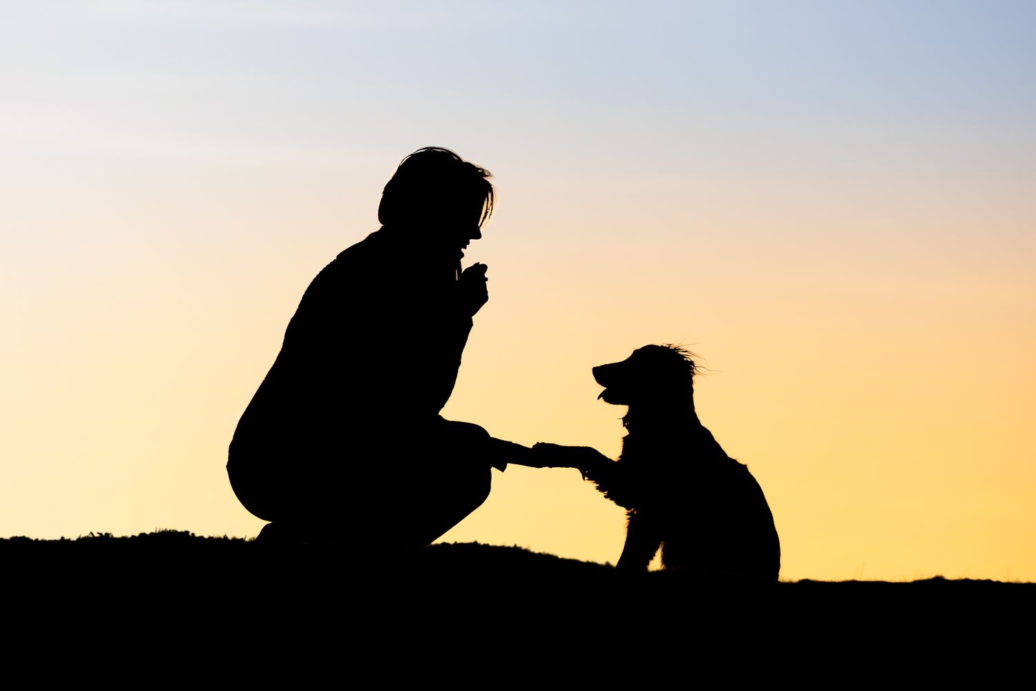 A silhouetted figure and dog stand against a vibrant orange sunset sky on a hilltop.