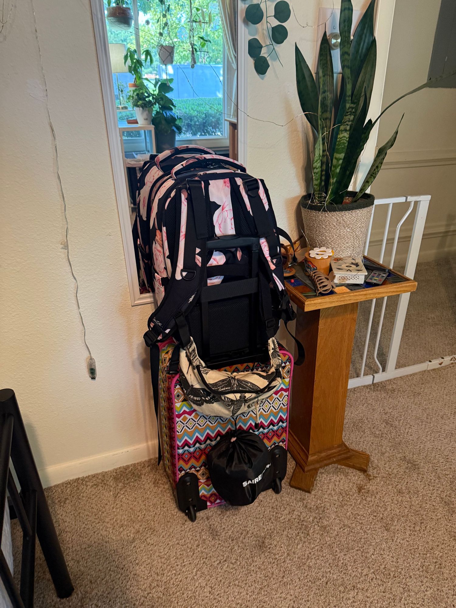 Black backpack and personal belongings arranged on a wooden desk near a white wall with indoor plants.