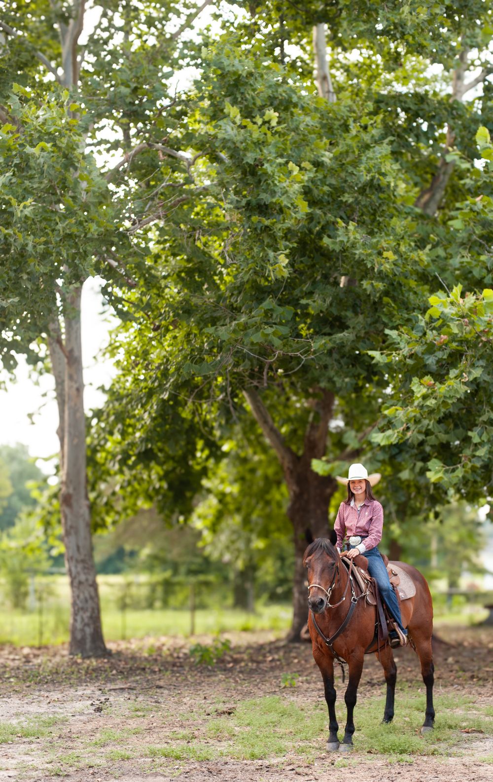 A rider in western attire sits atop a bay horse under leafy green trees in a pastoral setting.