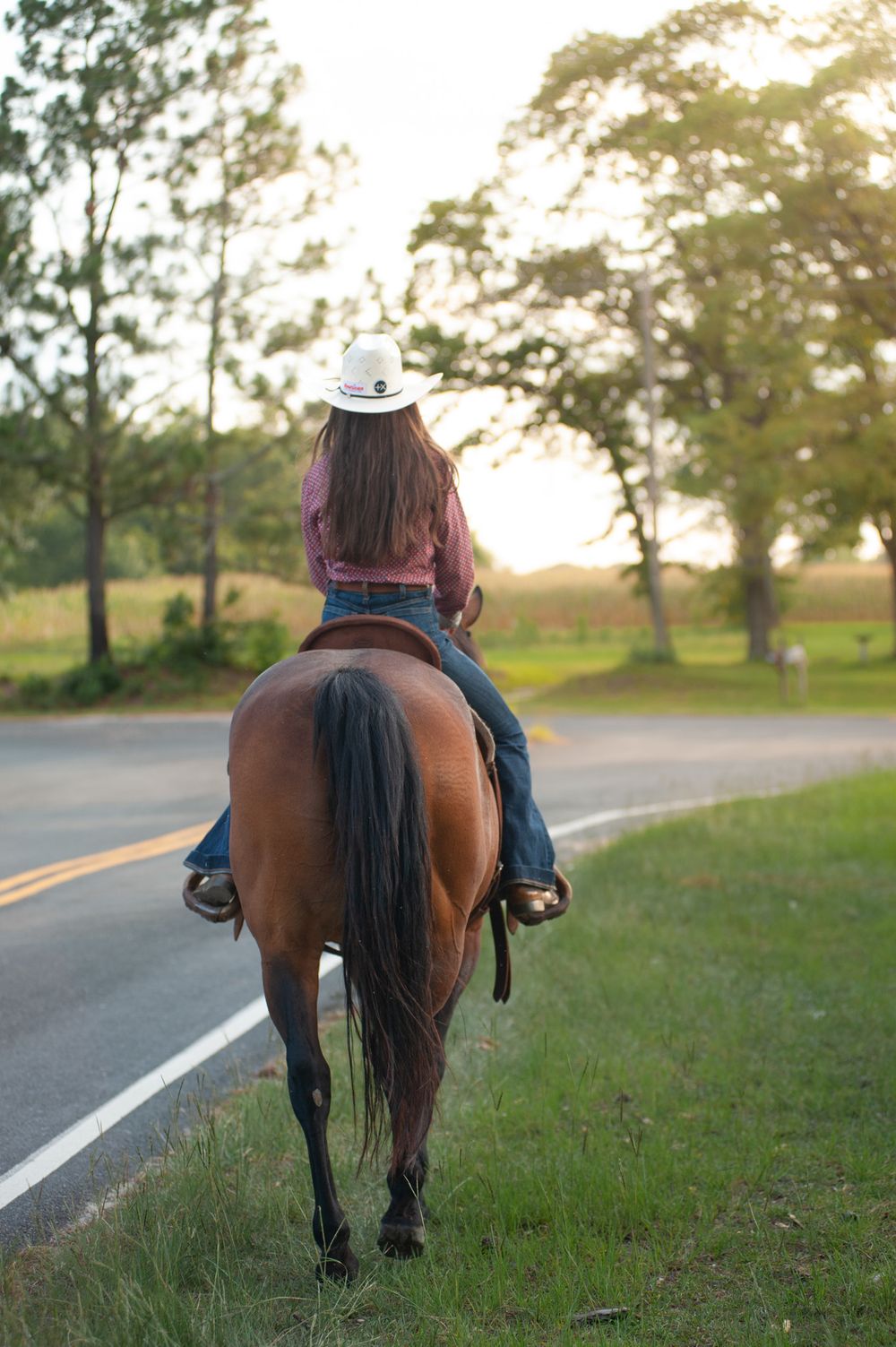 Brown horses and riders traverse along a peaceful country road at sunset.