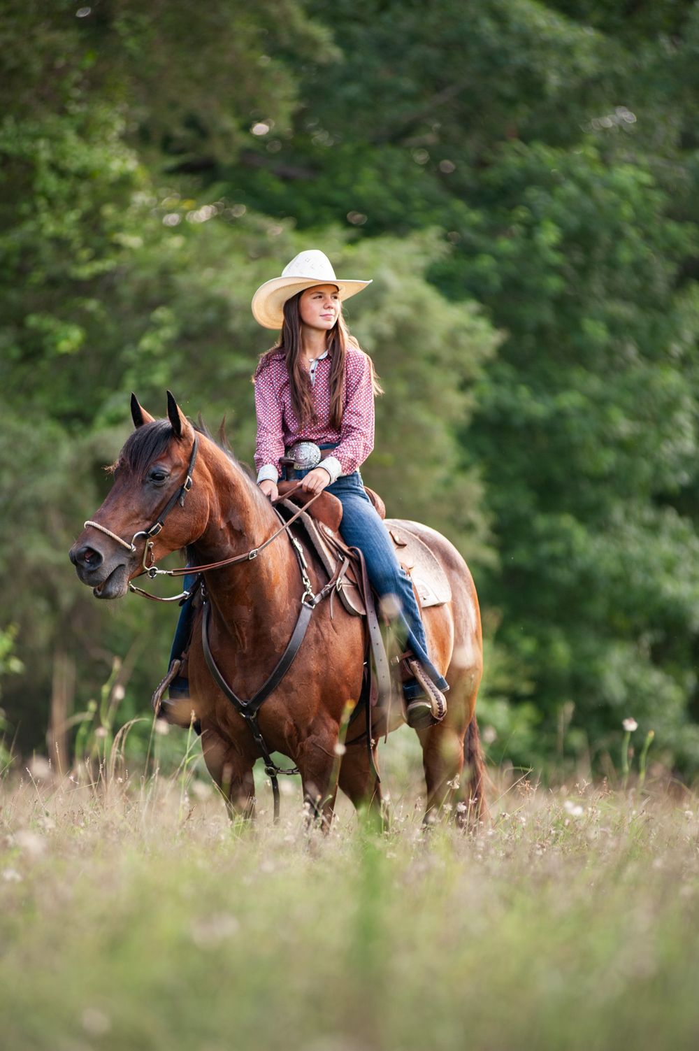 Two horses and their riders traverse through a serene meadow with trees in the background.