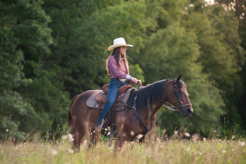 Brown horses graze in a sunlit meadow while riders explore the countryside.