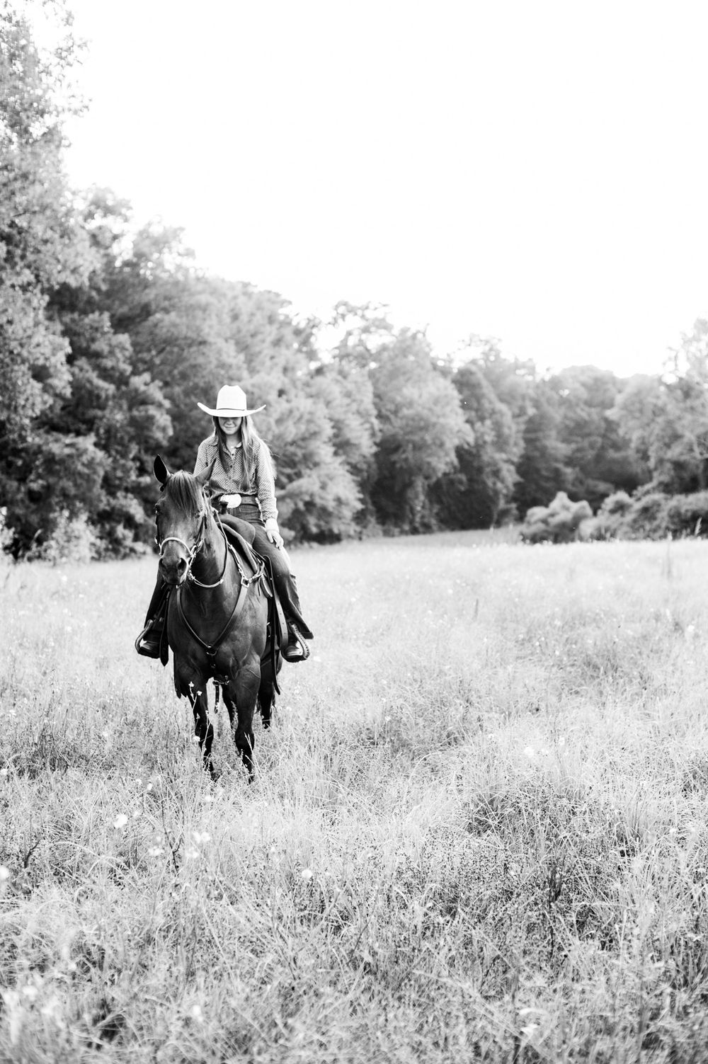 Black and white photograph of horses and riders in a serene wildflower meadow.