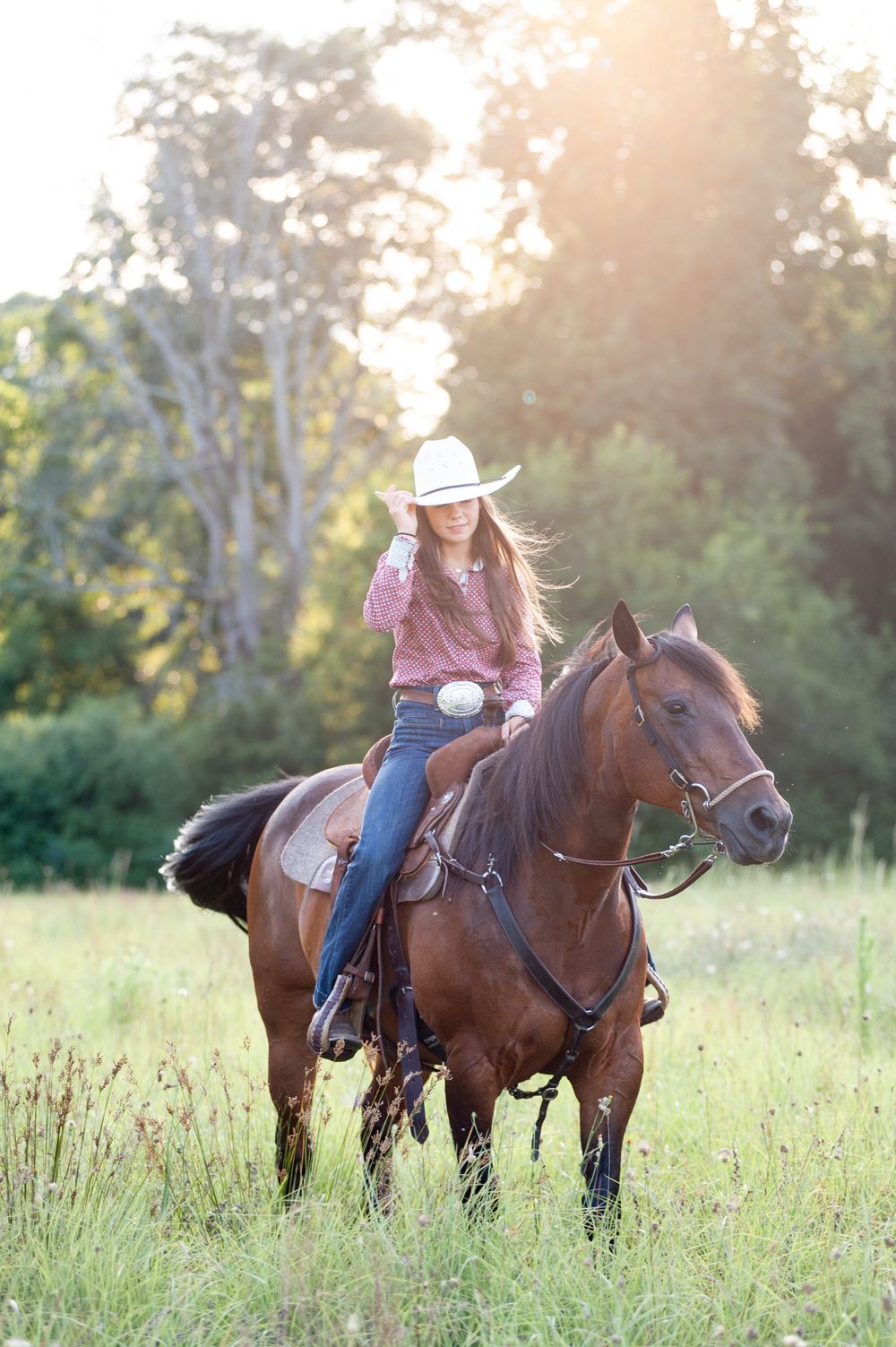 Two horses and riders traverse through a golden meadow at sunset.