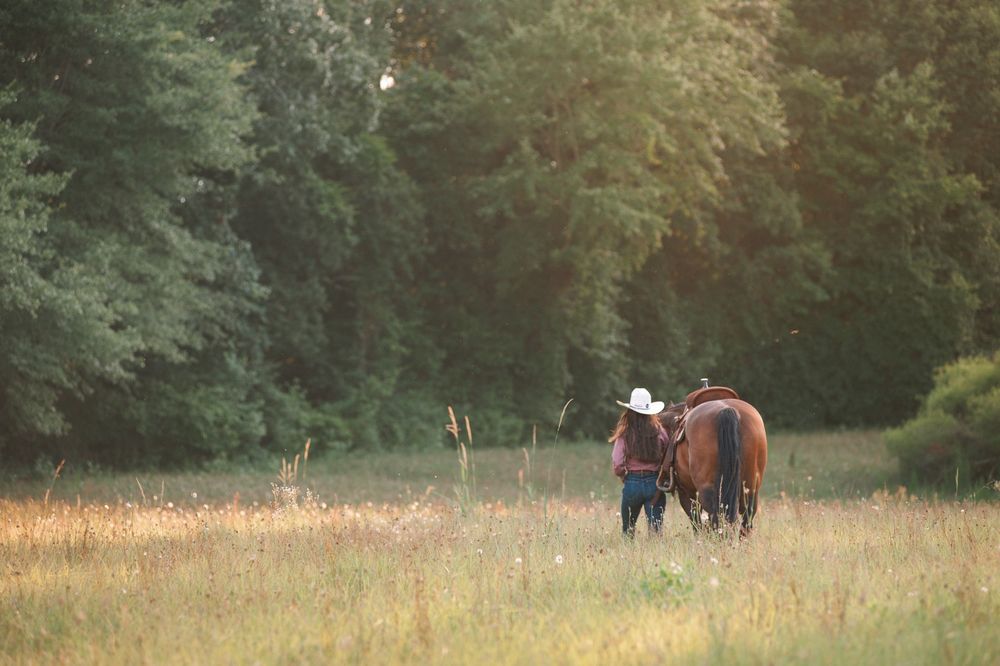 Tranquil scene of horses in a meadow with trees silhouetted against the evening sky.