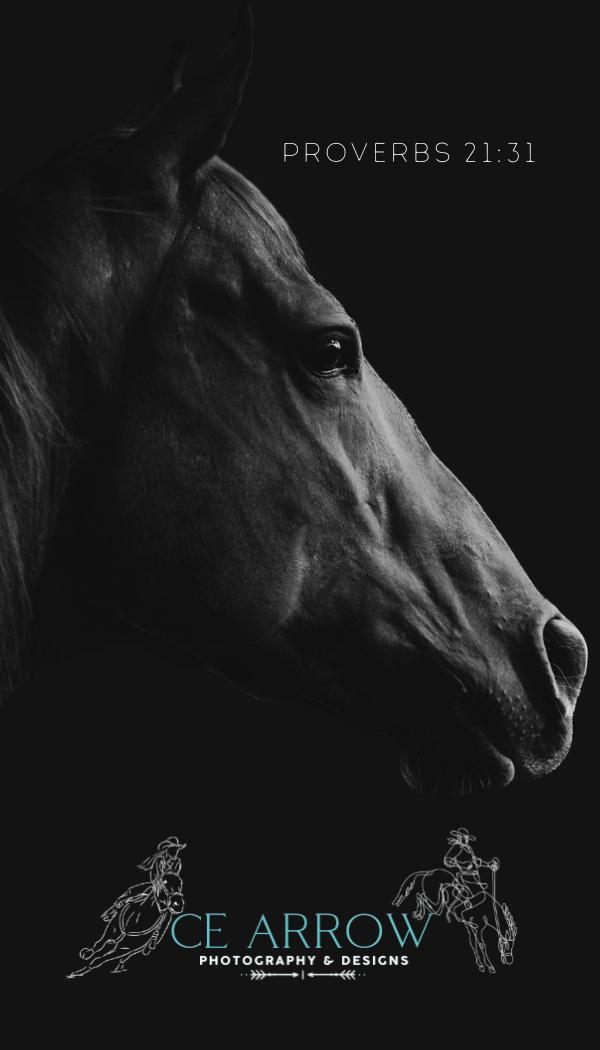 Dramatic black and white close-up profile of a horse's face with company branding and Bible verse reference.