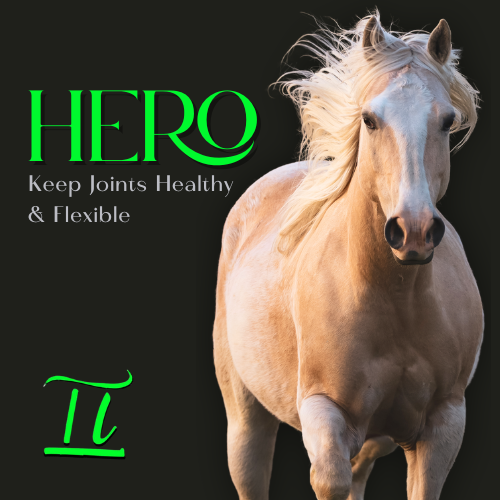 Marketing image for Hero equine joint supplement showing a graceful palomino horse with flowing mane against dark background.