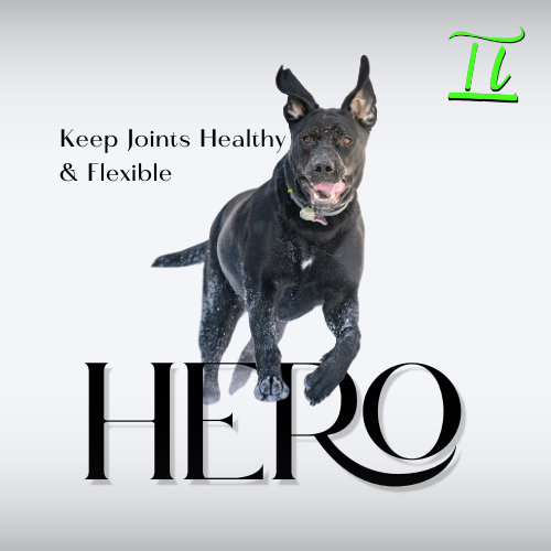 Black dog named Hero jumping energetically with text about keeping joints healthy and flexible against white background.