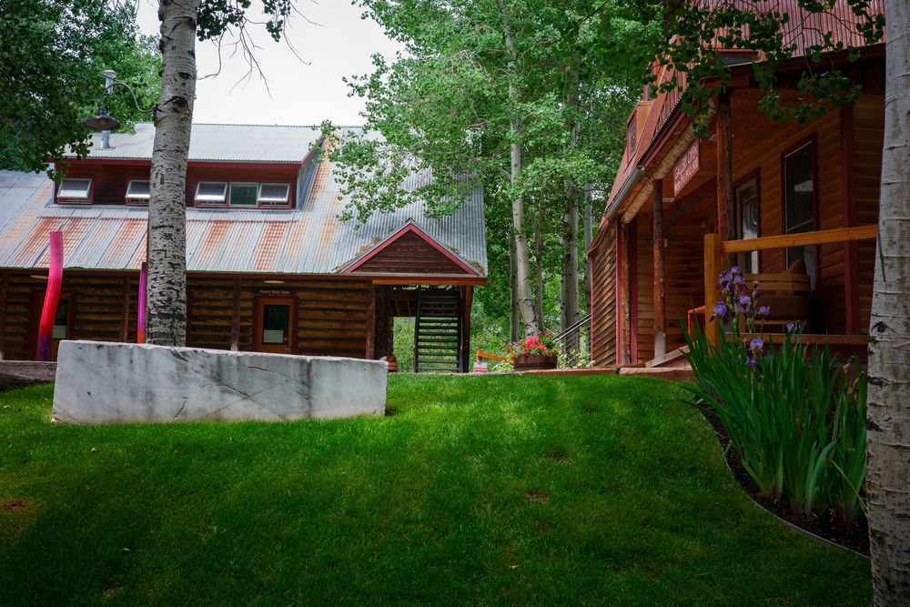 Rustic log cabin with metal roof surrounded by green lawn and white birch trees in a forest setting.