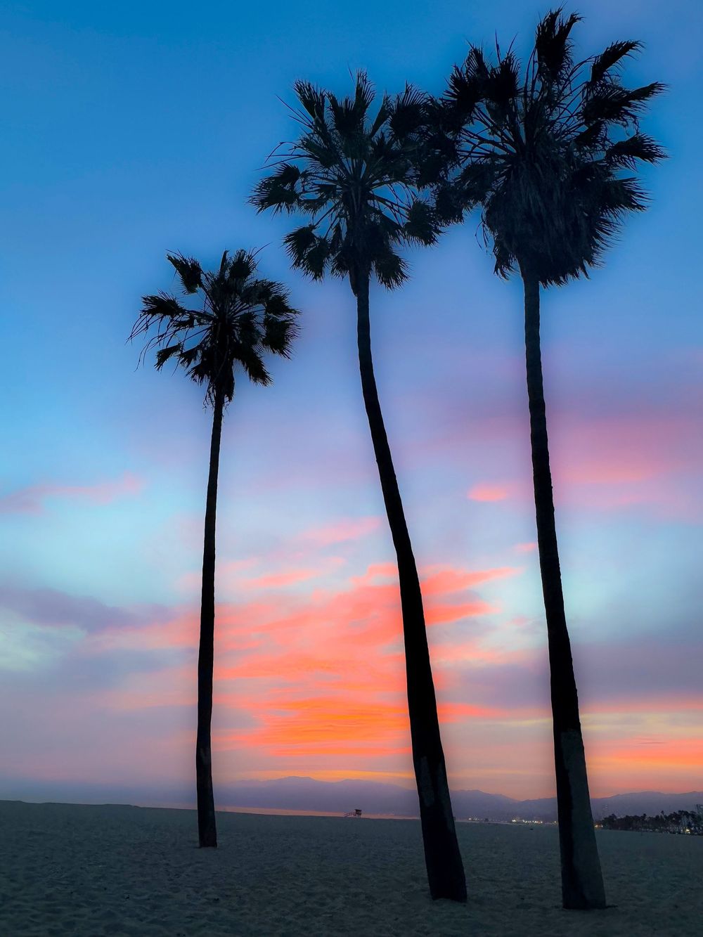 Silhouettes of palm trees against a vibrant orange and pink sunset sky.