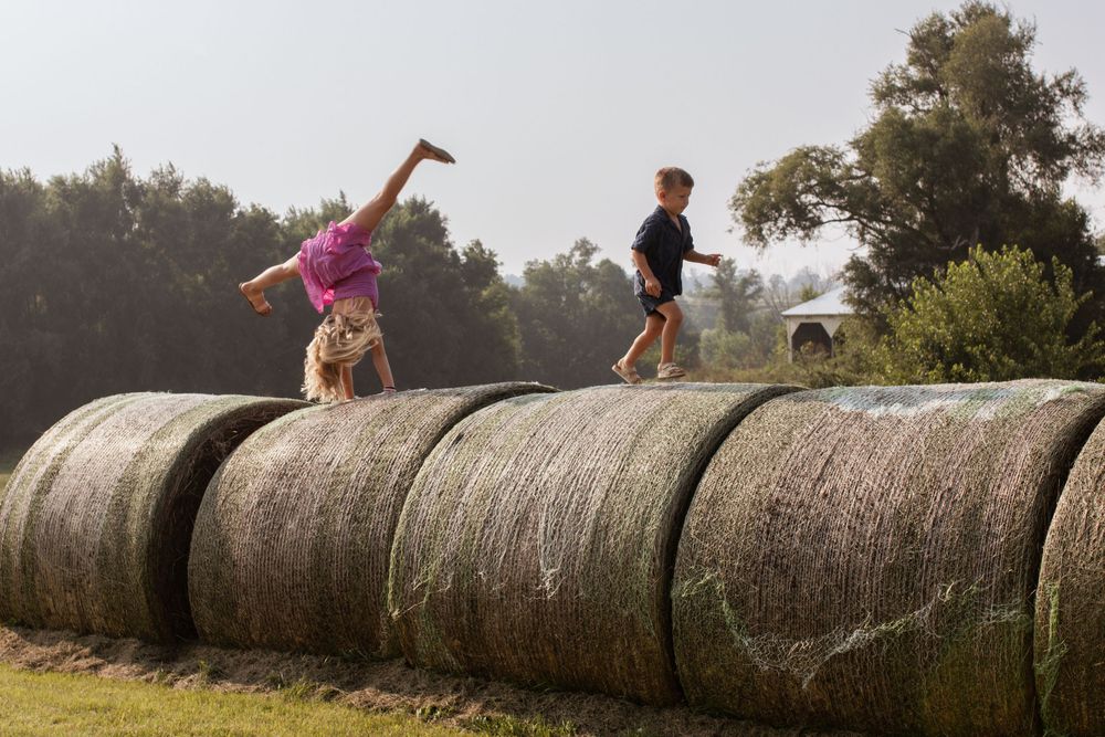 People walking and playing on large round hay bales in a golden field at sunset.