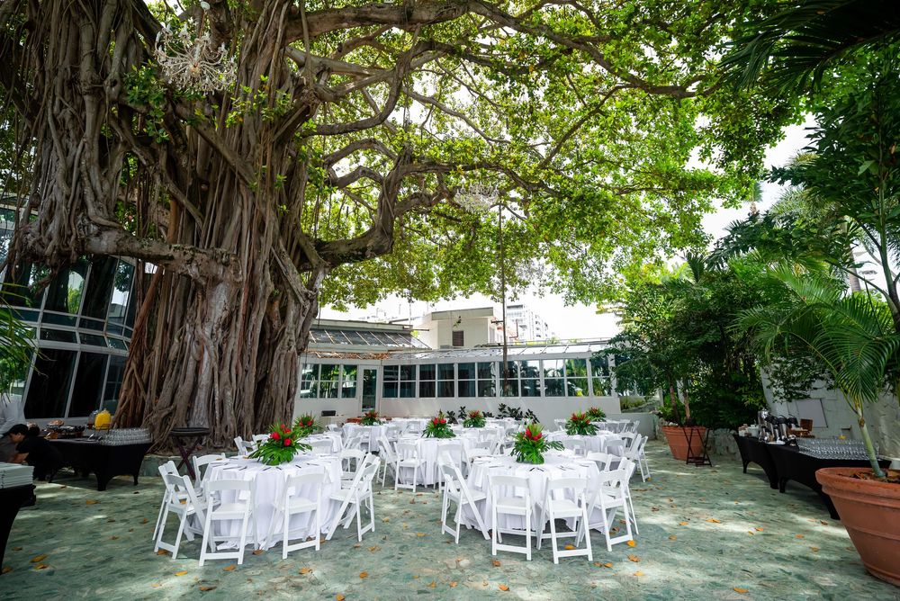 White reception tables and chairs set up under a large banyan tree in an outdoor wedding venue setting.