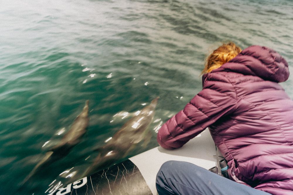 Person in purple jacket leaning over boat railing to observe ocean wildlife in turquoise waters.