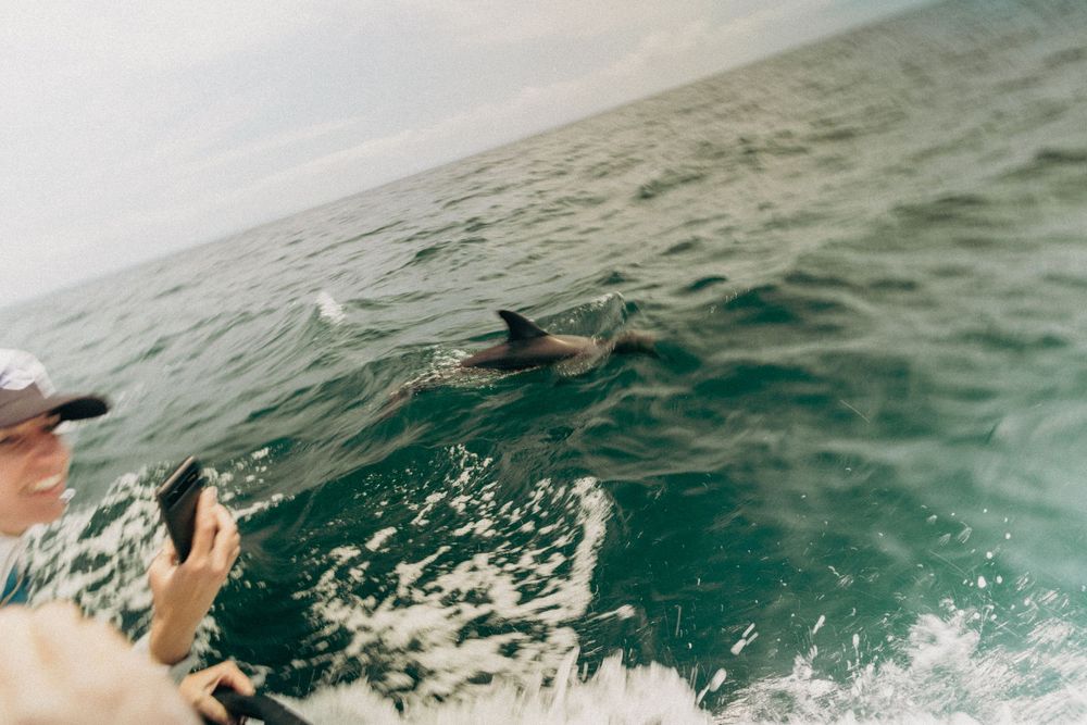 Dolphin fin breaks through the ocean surface near a boat in grey waters.