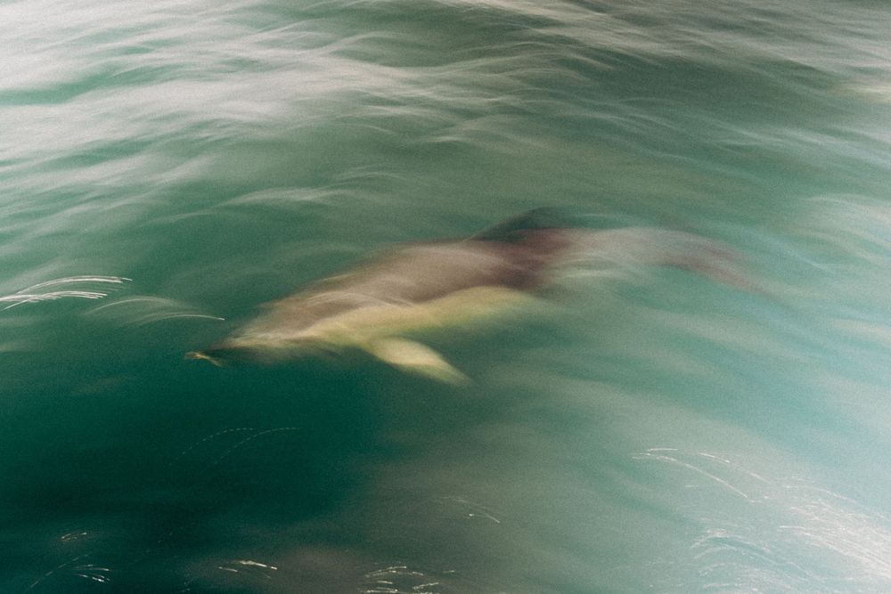 Blurry underwater view of a swimmer through turquoise ocean water.