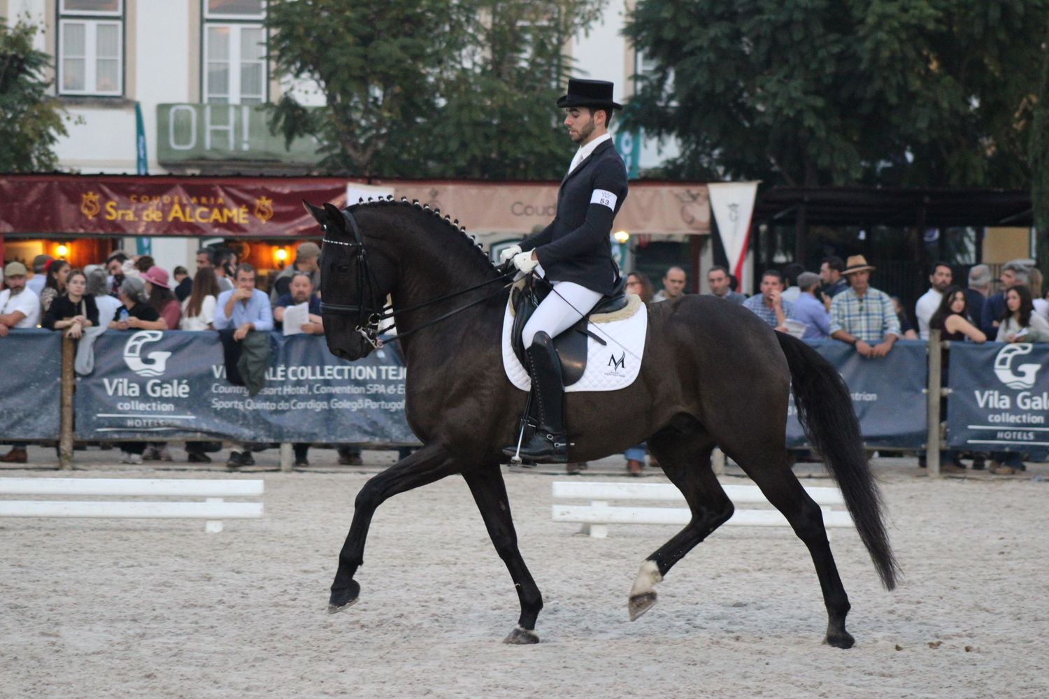 Dressage