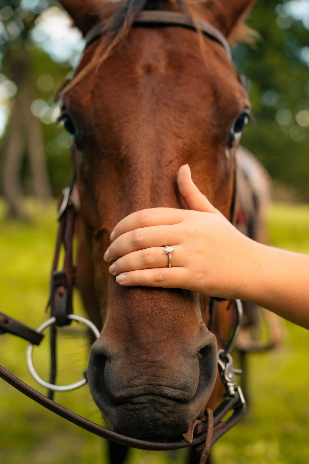 A gentle hand reaches out to pet a brown horse's face, showing a close-up view of loving connection between human and animal.