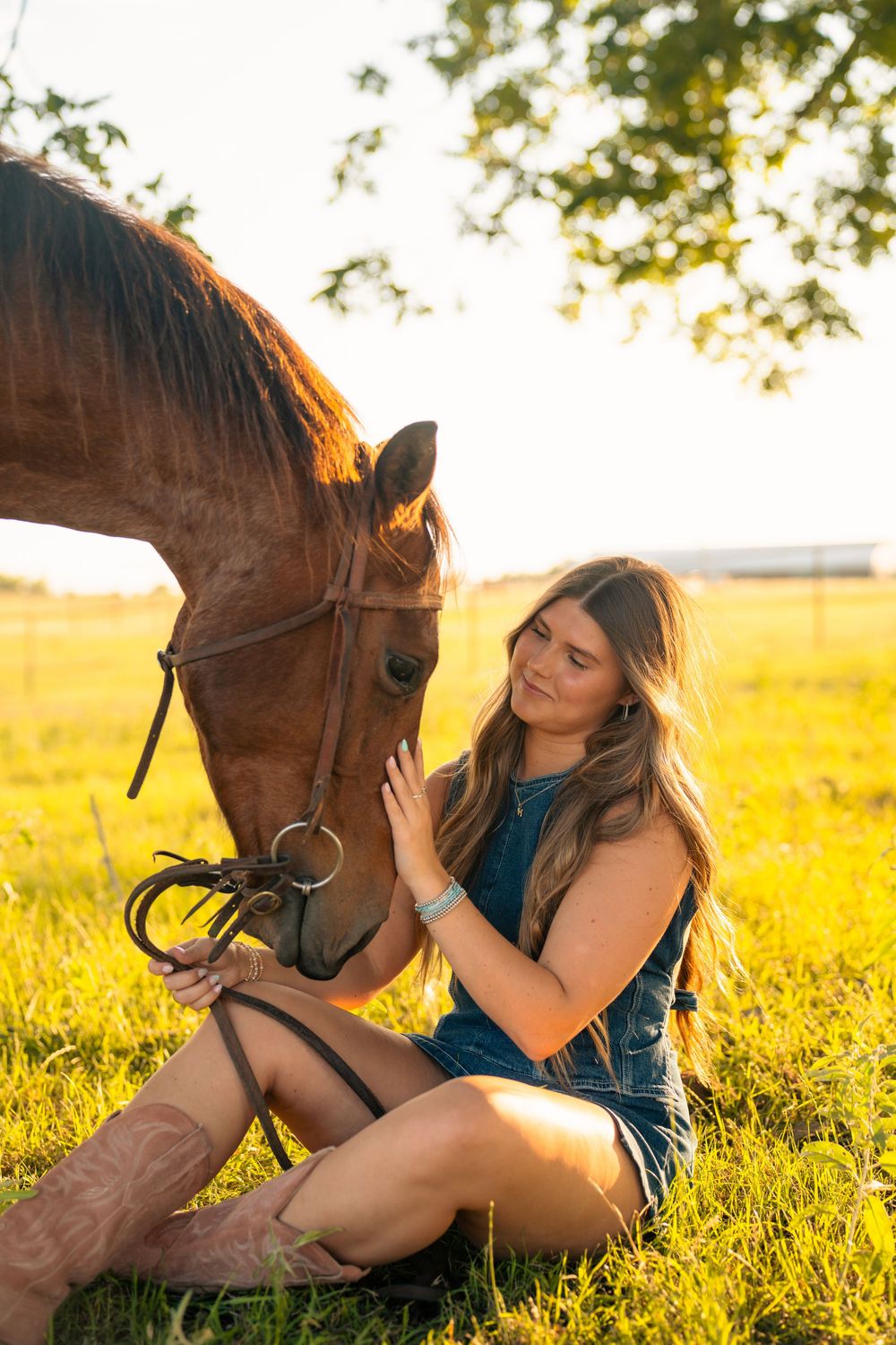 Person sitting in grass petting brown horse during golden hour.