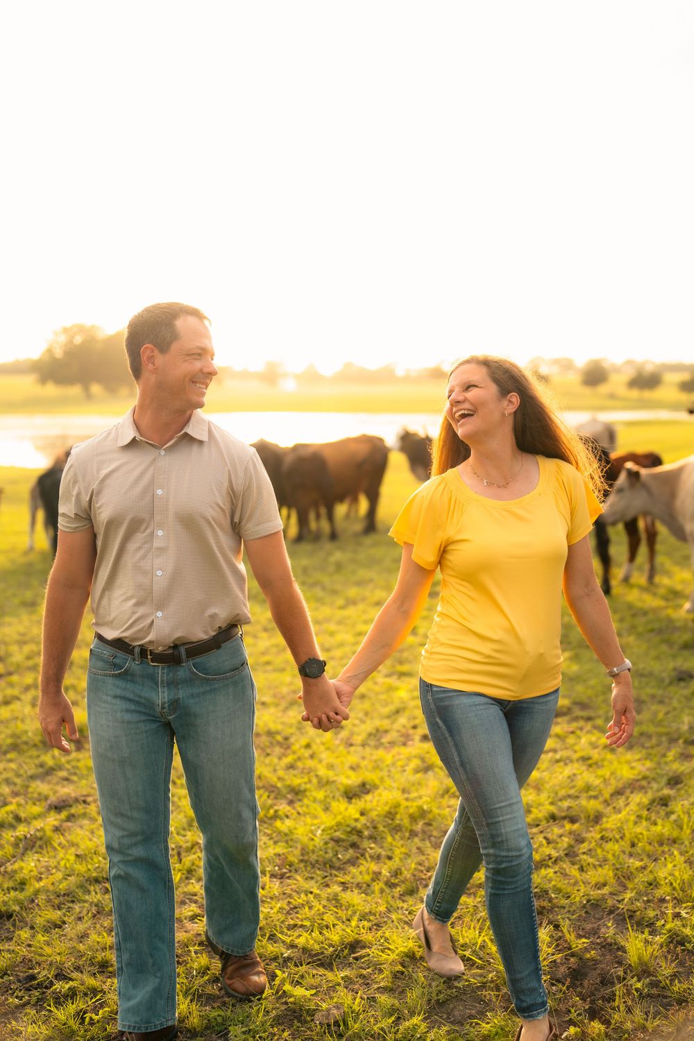 A couple holds hands while walking through a pasture at sunset with grazing cattle in the background.