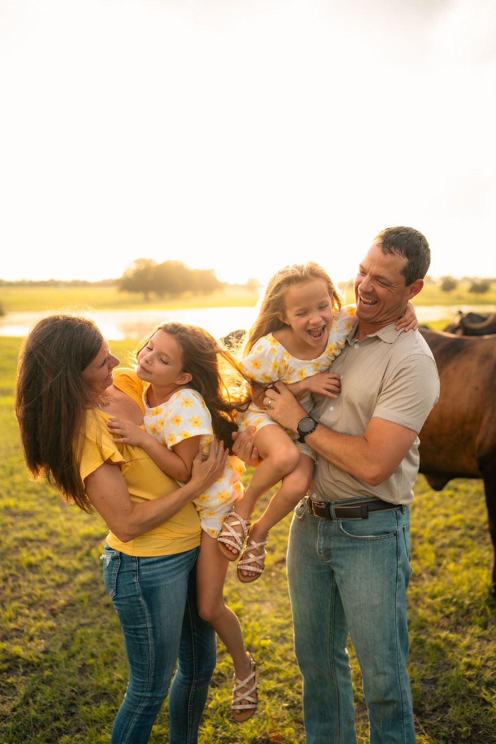 Happy family plays and laughs together in a field at sunset with a brown cow grazing in the background.