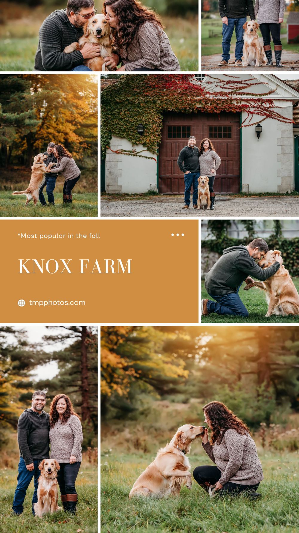 photography location ideas, buffalo ny, pet photography, pet photographer, pet portraits, dog photographer, dog photographer
