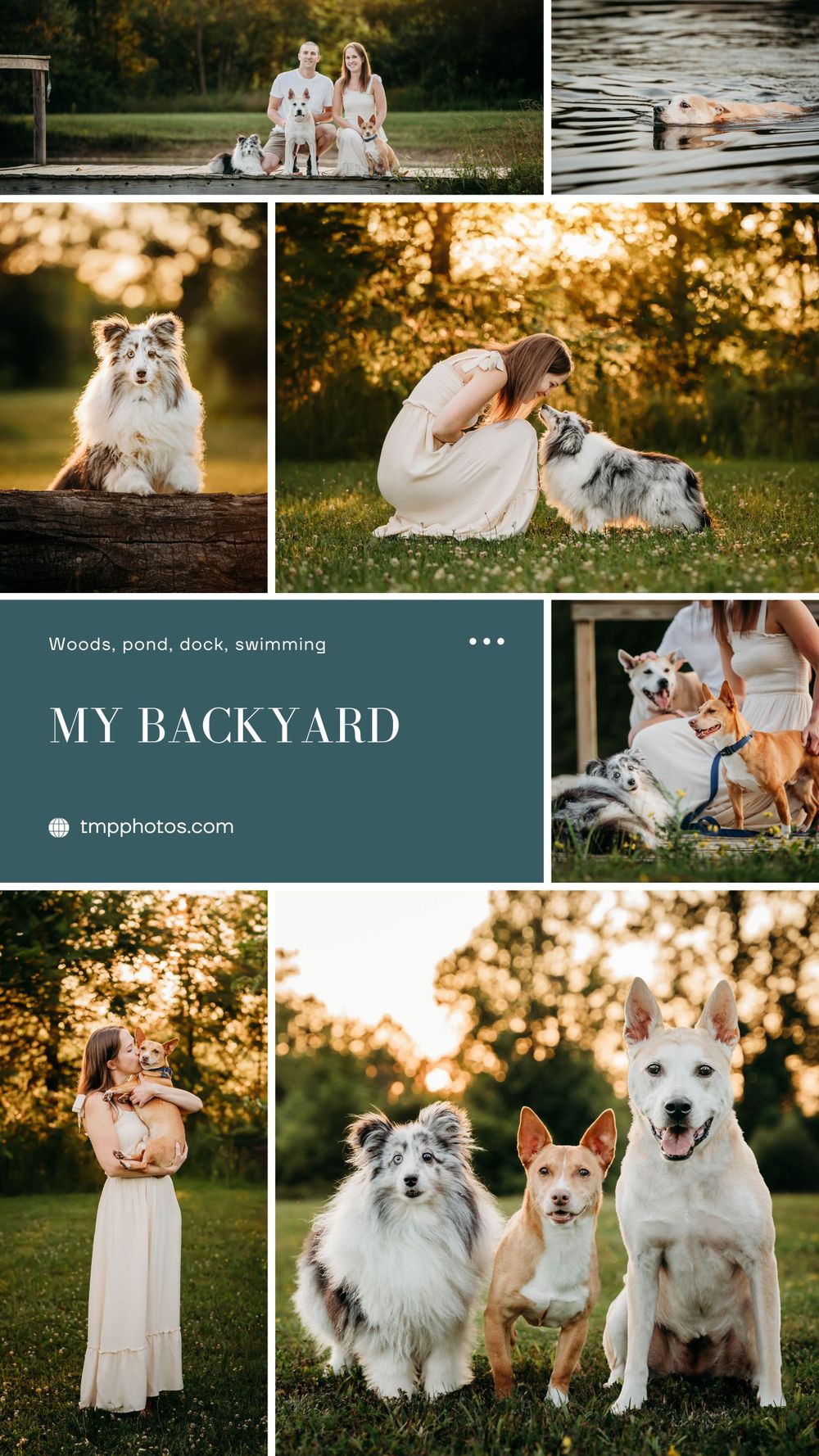photography location ideas, buffalo ny, pet photography, pet photographer, pet portraits, dog photographer, dog photographer