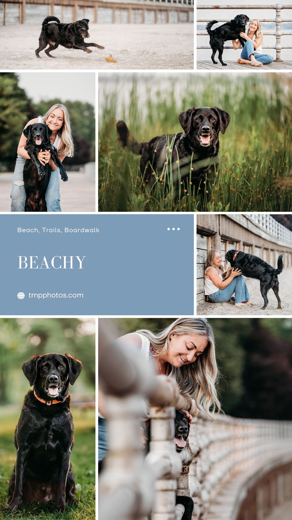 photography location ideas, buffalo ny, pet photography, pet photographer, pet portraits, dog photographer, dog photographer