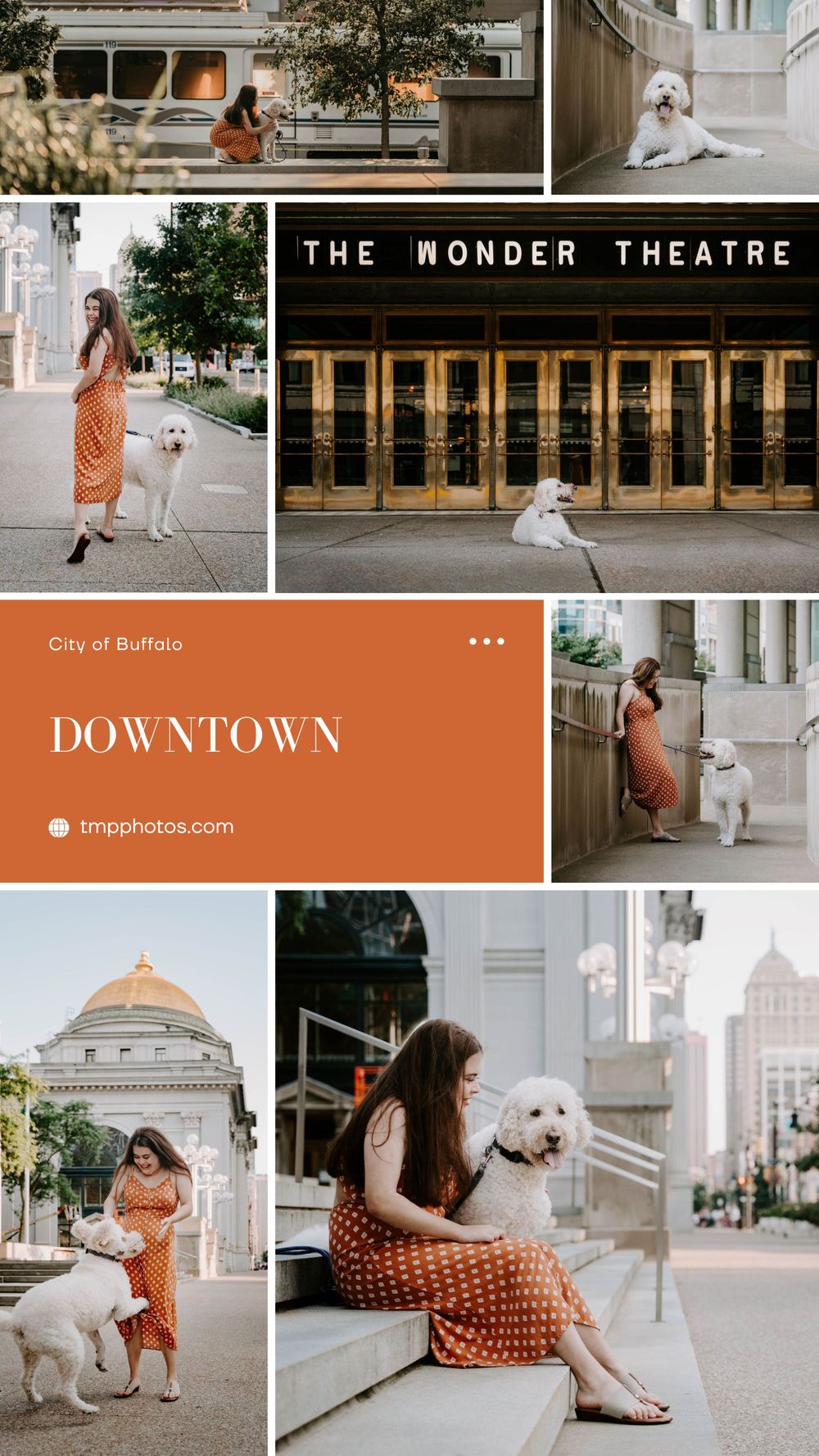 photography location ideas, buffalo ny, pet photography, pet photographer, pet portraits, dog photographer, dog photographer