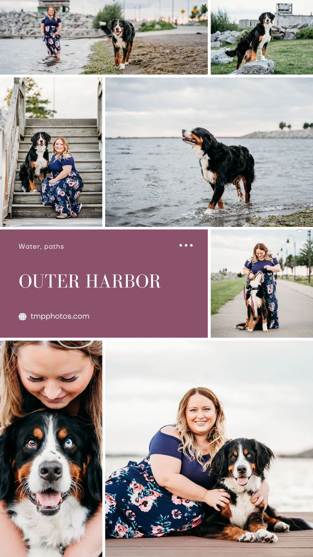 photography location ideas, buffalo ny, pet photography, pet photographer, pet portraits, dog photographer, dog photographer