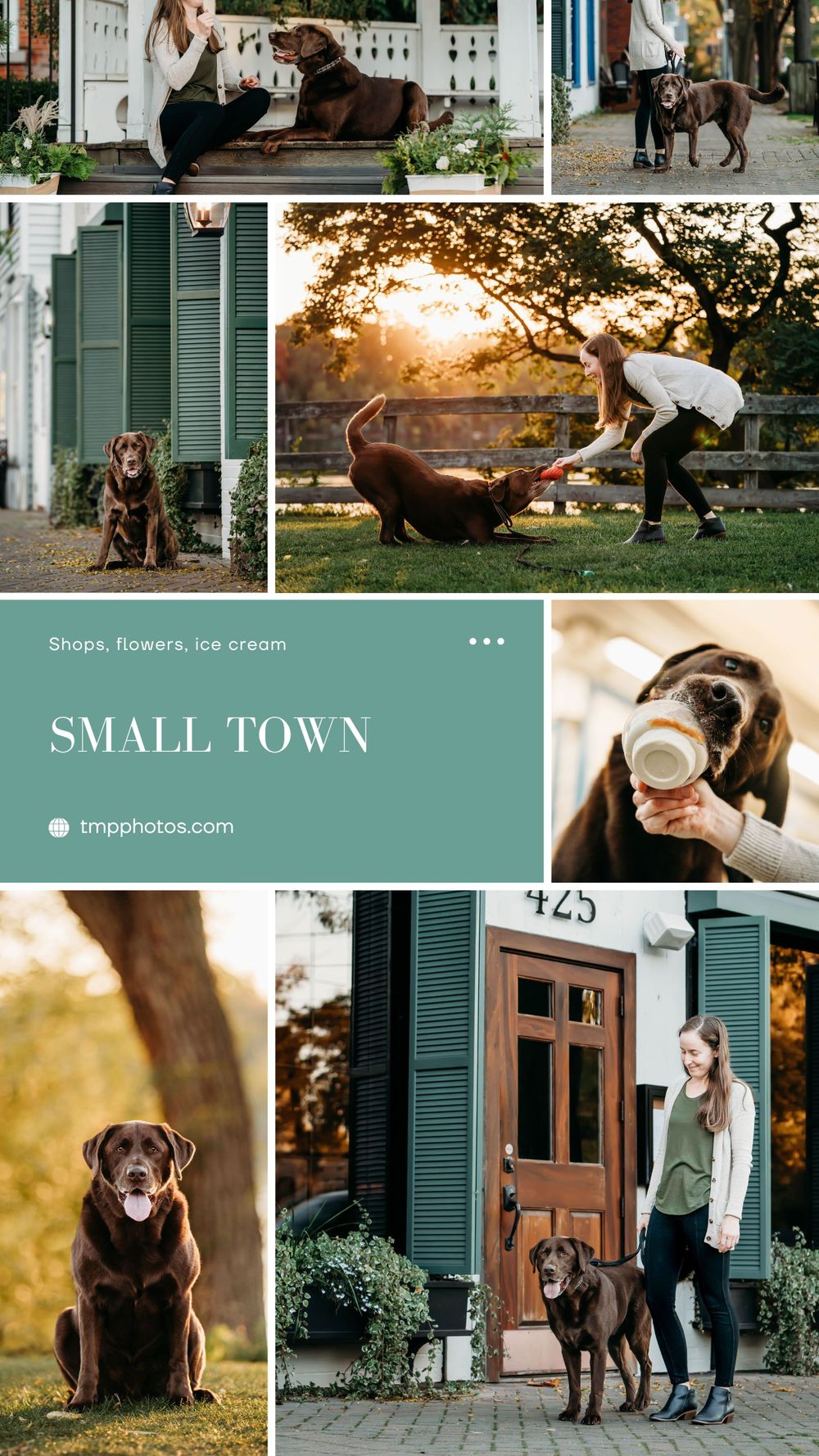 photography location ideas, buffalo ny, pet photography, pet photographer, pet portraits, dog photographer, dog photographer