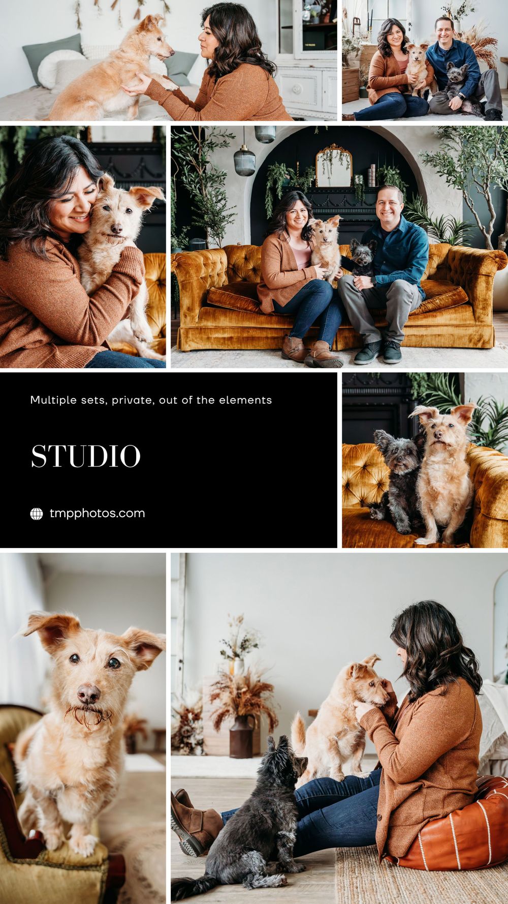 photography location ideas, buffalo ny, pet photography, pet photographer, pet portraits, dog photographer, dog photographer