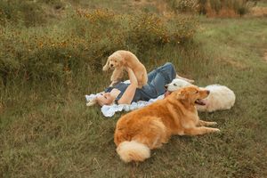 Person relaxing outdoors in a grassy field with two friendly golden dogs lying nearby on a sunny day.