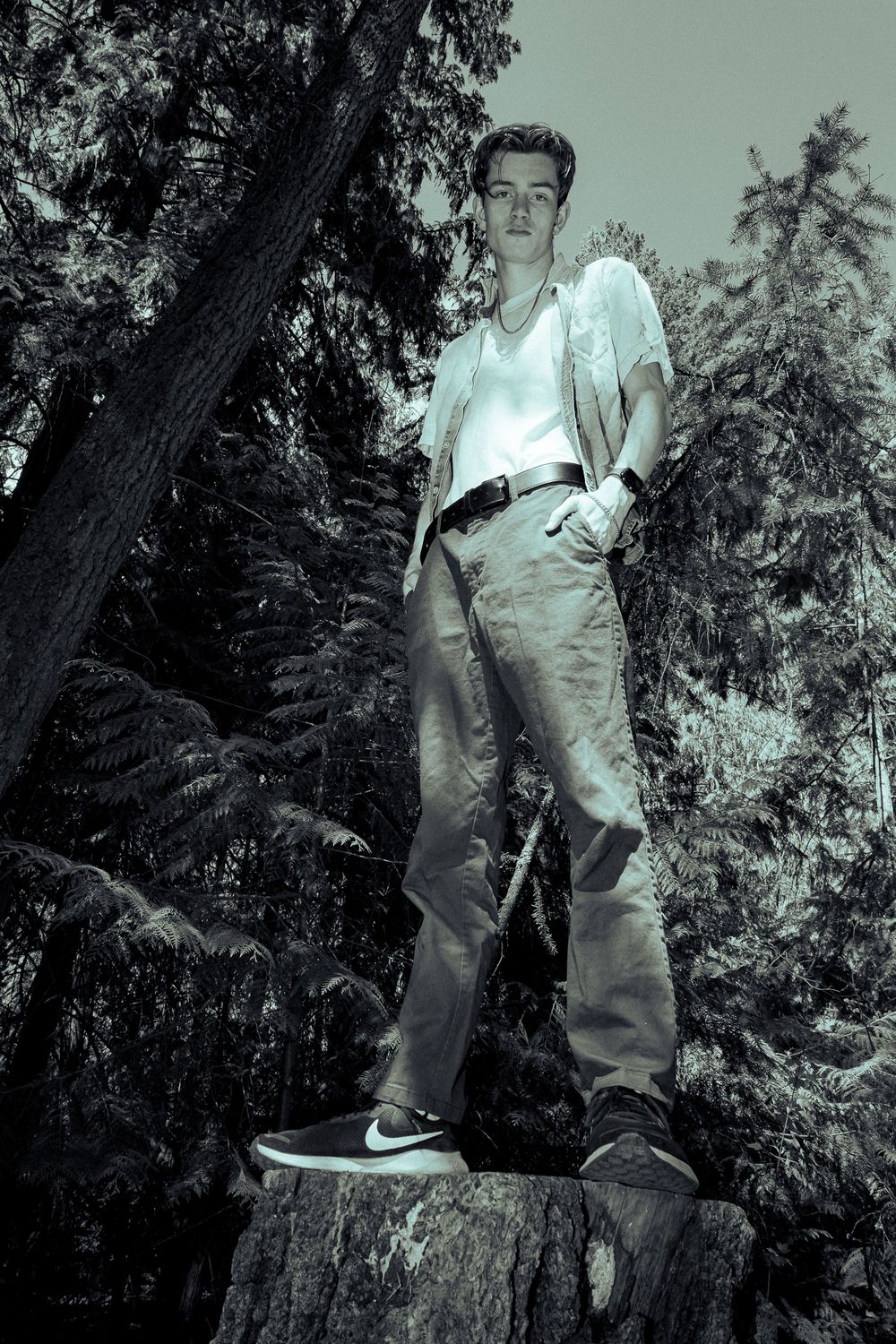 editorial, nature, trees, blue sky, black and white