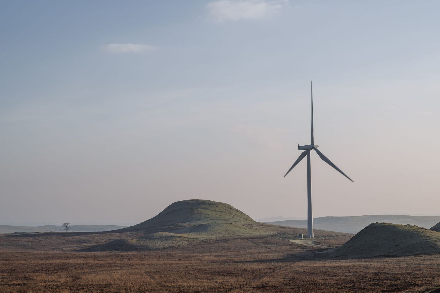 Wind farm turbines scattered across rolling hills under clear blue sky.