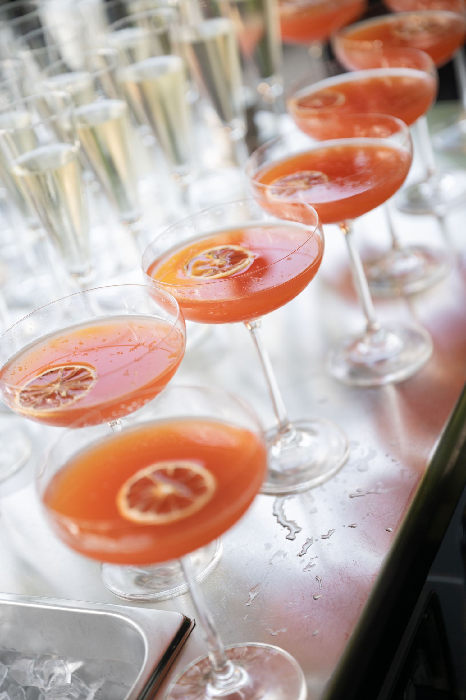 A row of pink cocktails garnished with citrus slices in elegant martini glasses lined up on a bar counter.
