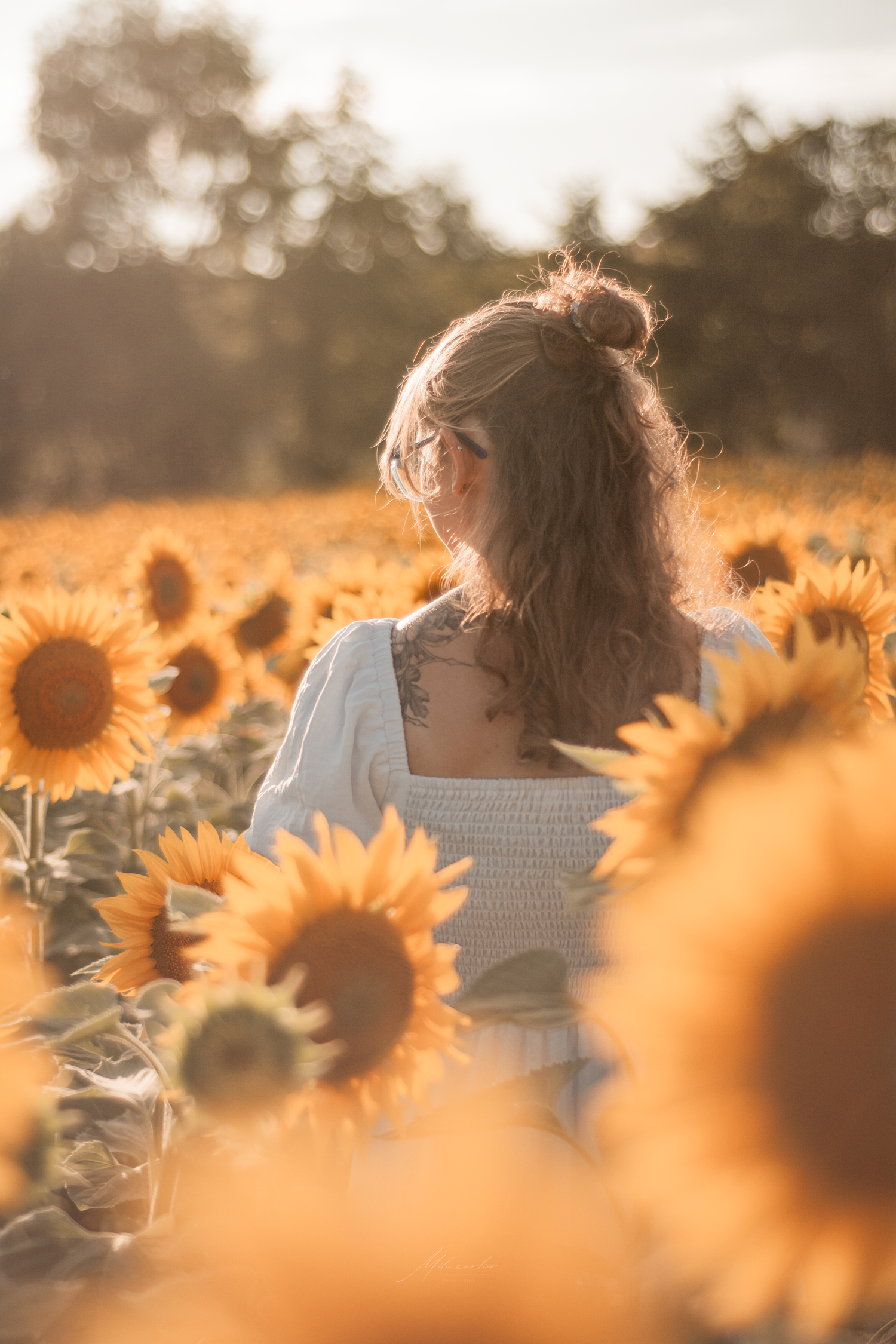femme portrait champs de tournesols couché de soleil