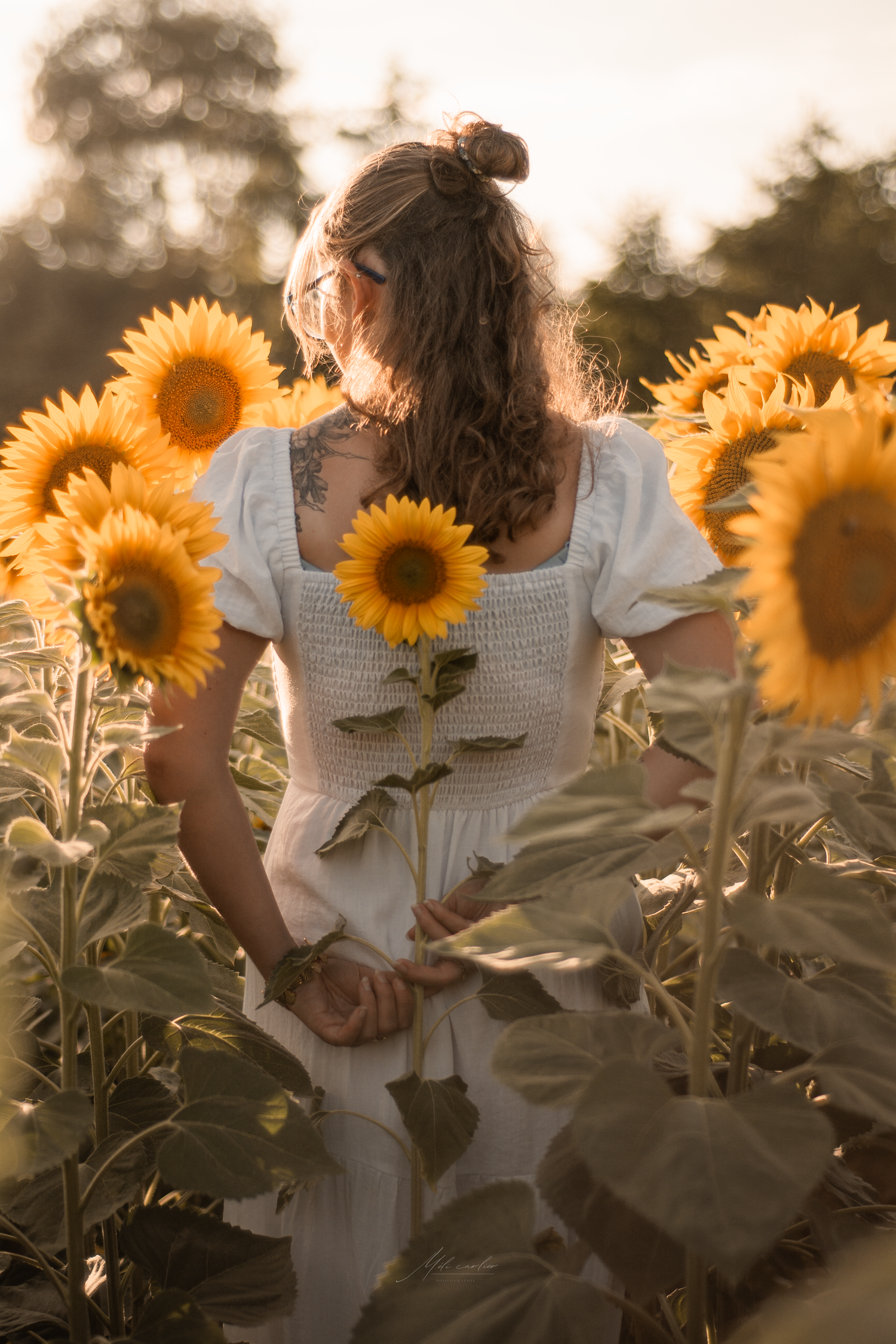 femme portrait champs de tournesols couché de soleil