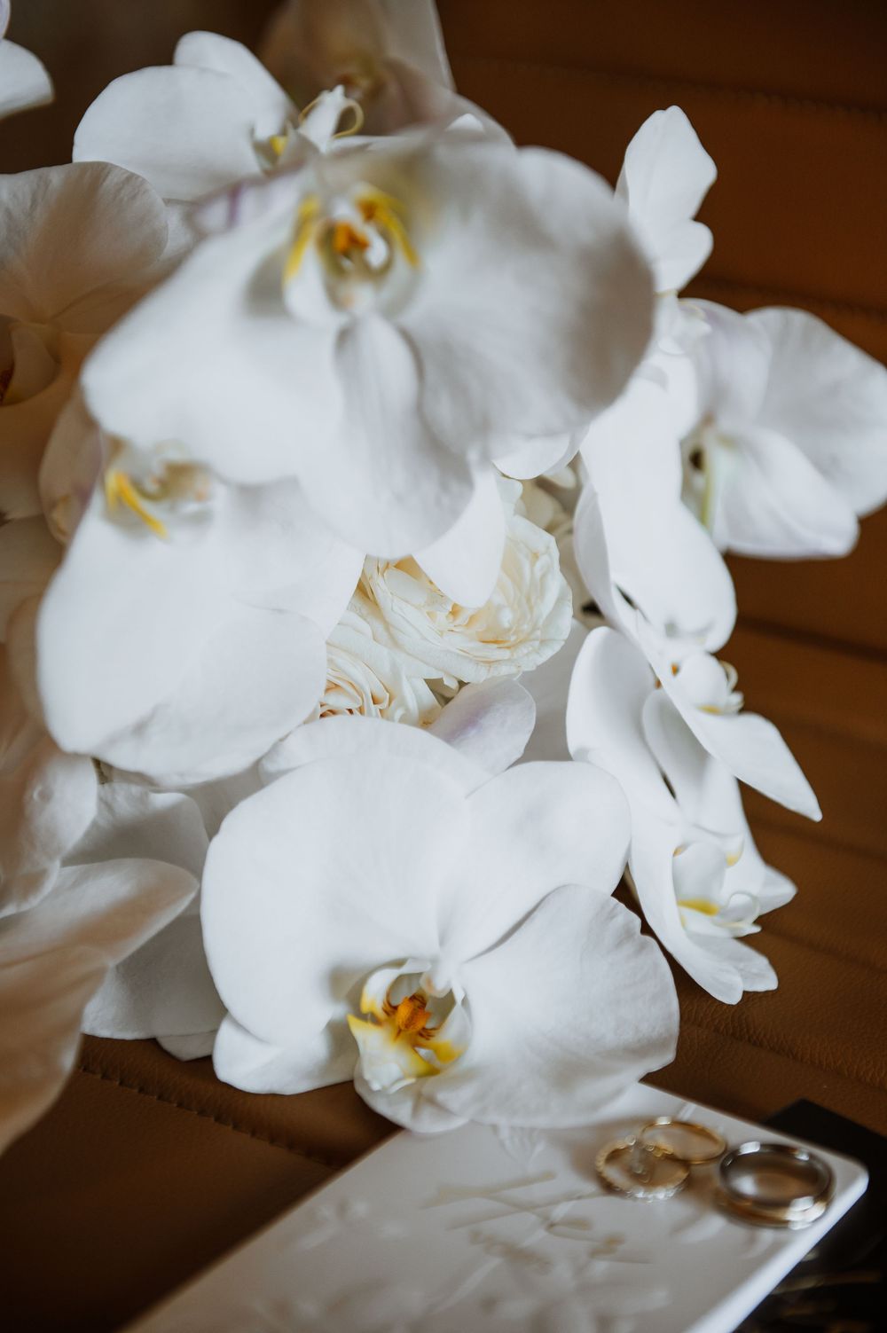 Delicate white orchid blooms with yellow centers displayed against a dark wooden background.