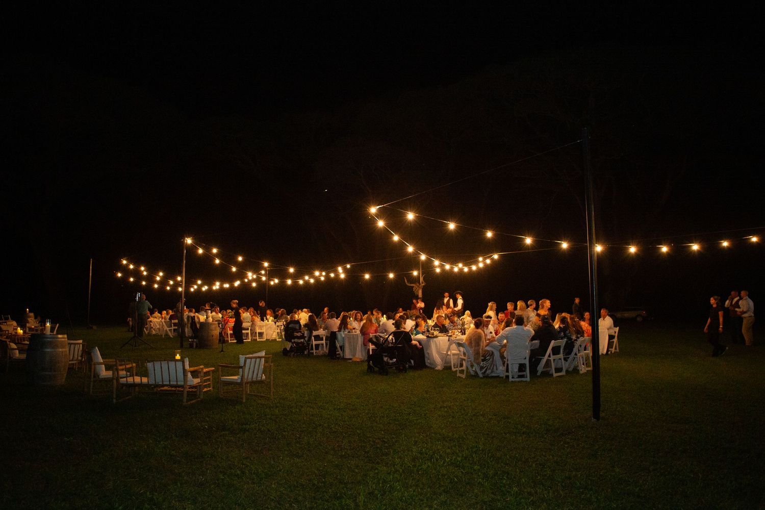 Reception under festoon lights at country Port Douglas Wedding