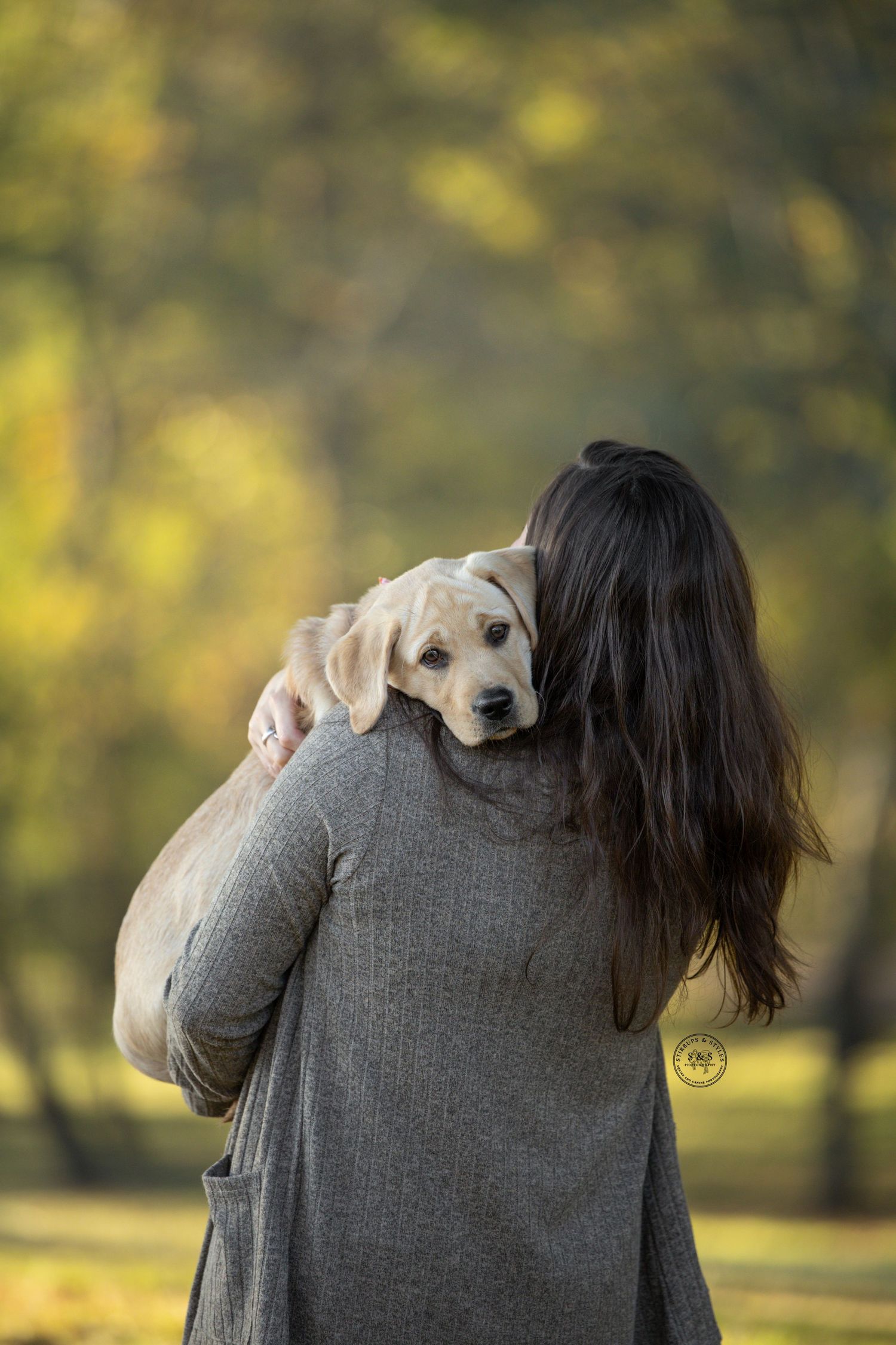A small yellow Labrador puppy being held over someone's shoulder in a grey sweater against a blurred autumn background.