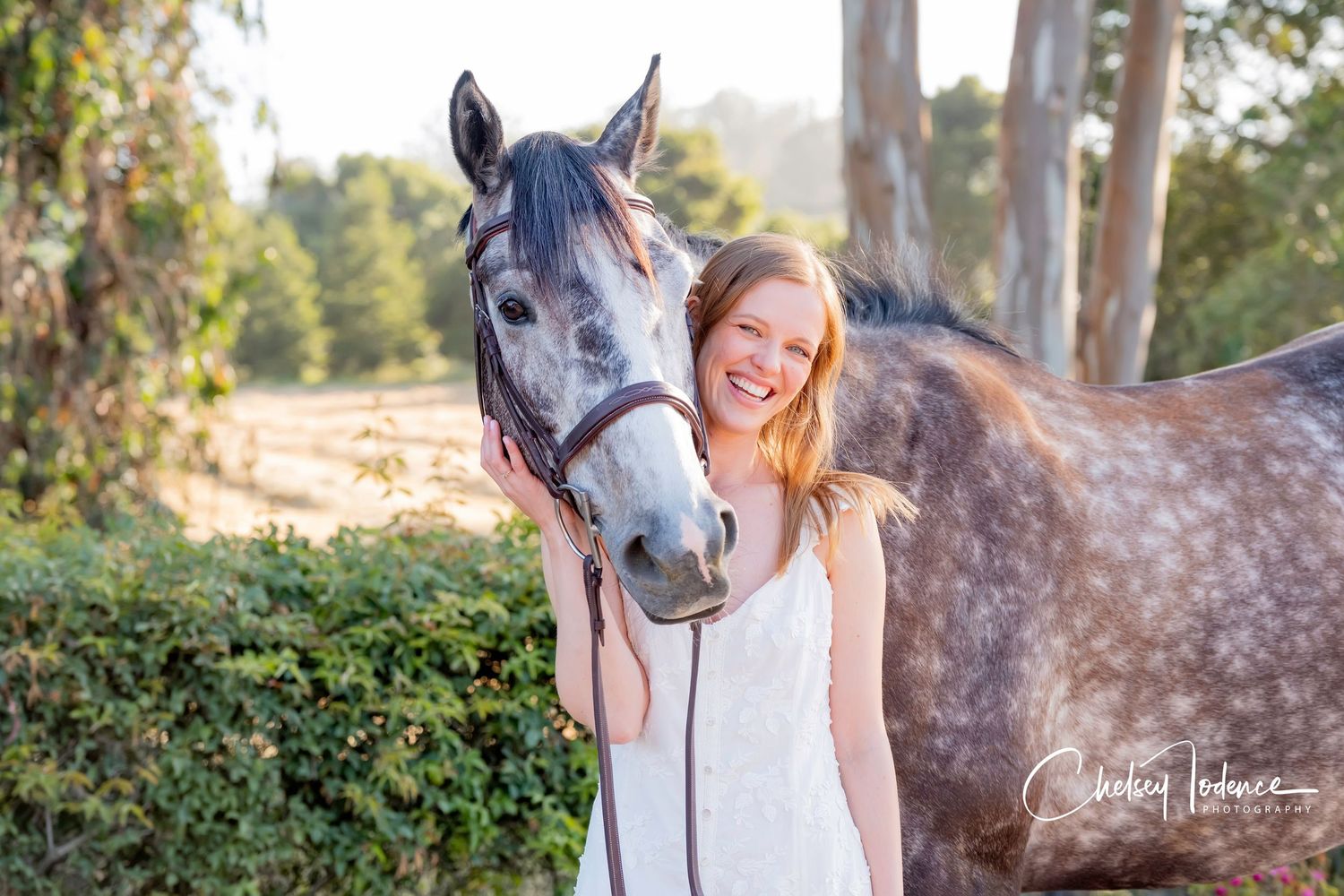 Family posing with horse in outdoor Sonoma County equine photography session in Petaluma CA