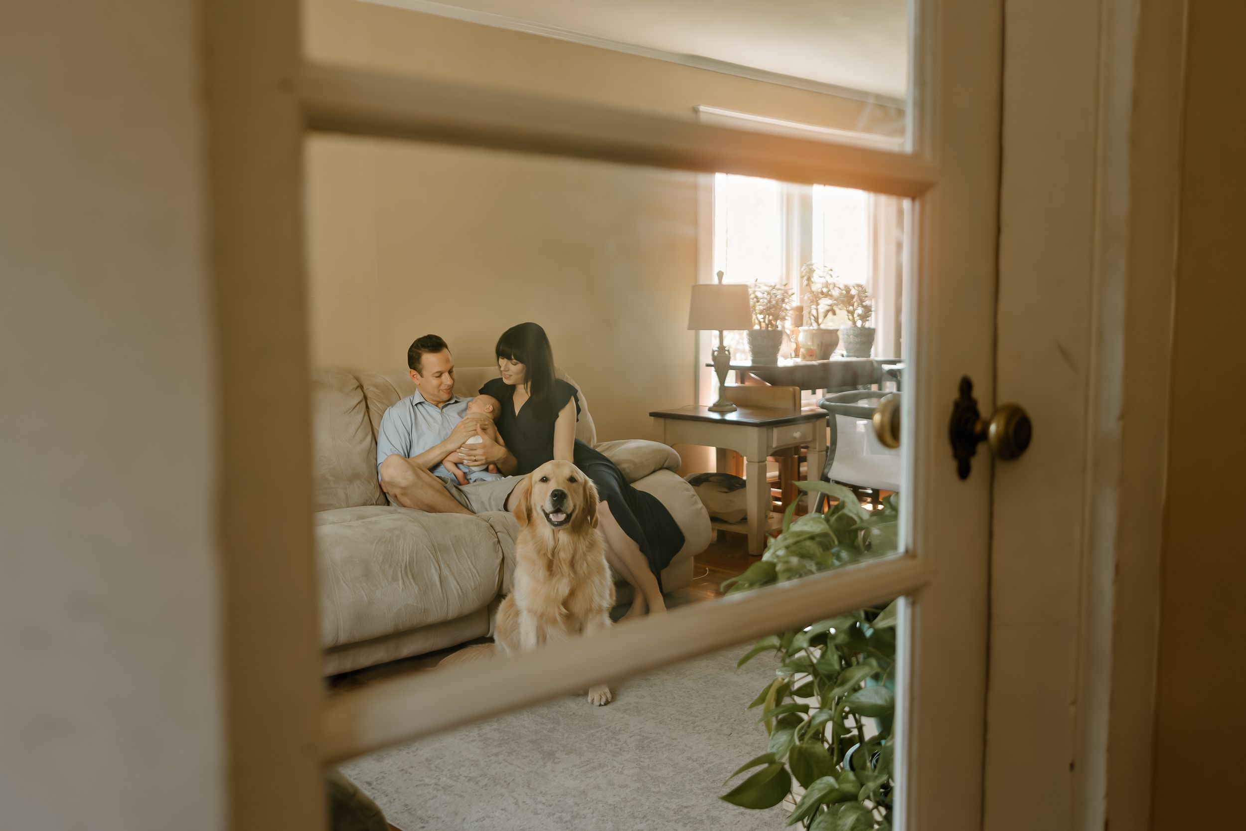 Interior lifestyle photos showing cozy moments in a sunlit home setting.