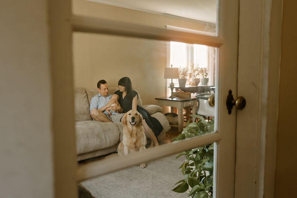 Interior lifestyle photos showing cozy moments in a sunlit home setting.