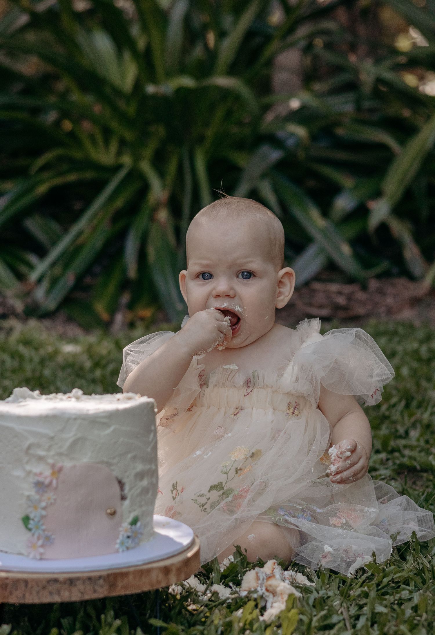 A little girl is celebrating her first birthday in the Hervey Bay Botanical Gardens, enjoying some cake
