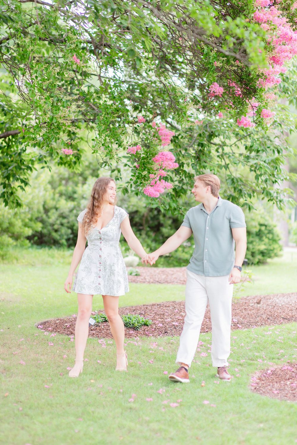 A couple holds hands while walking through a garden with blooming pink crepe myrtle trees on a sunny day.
